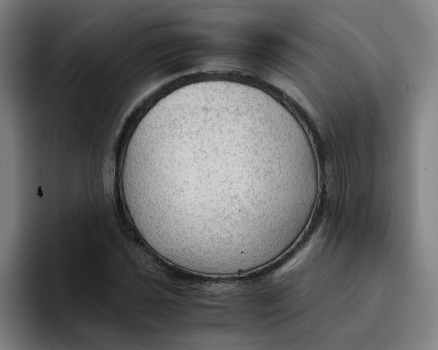 X0000094221021200711161844