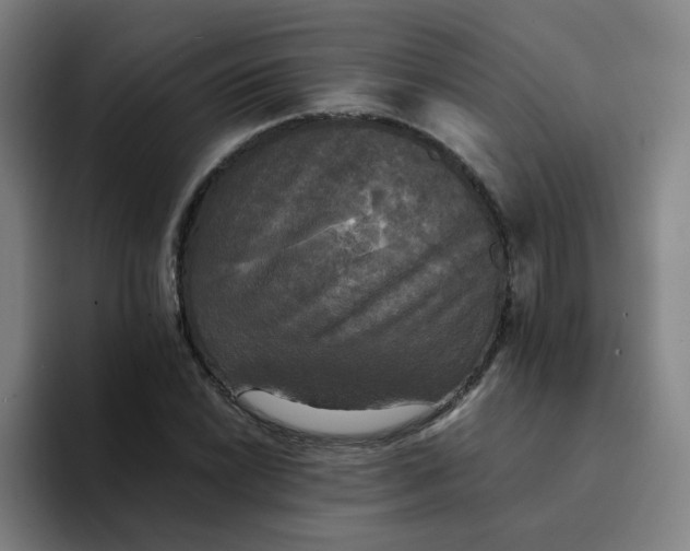 X0000094221022200711161844