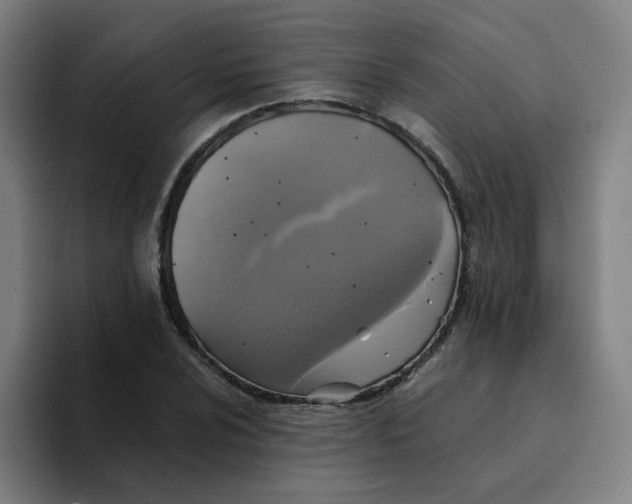 X0000094221024200711161844