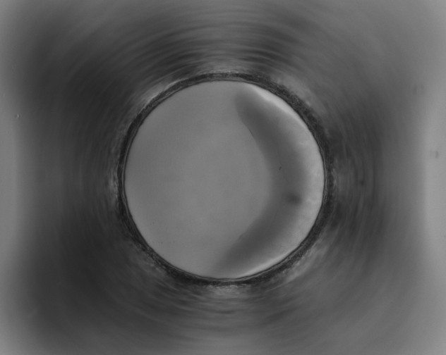 X0000094221025200711161844