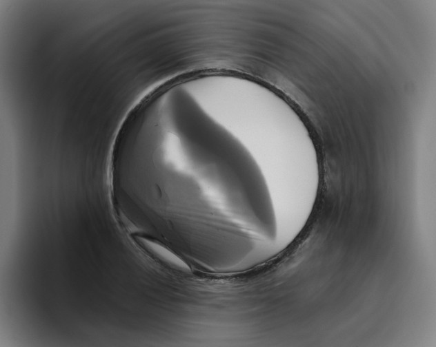 X0000094221028200711161845