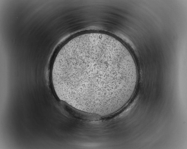 X0000094221029200711161845