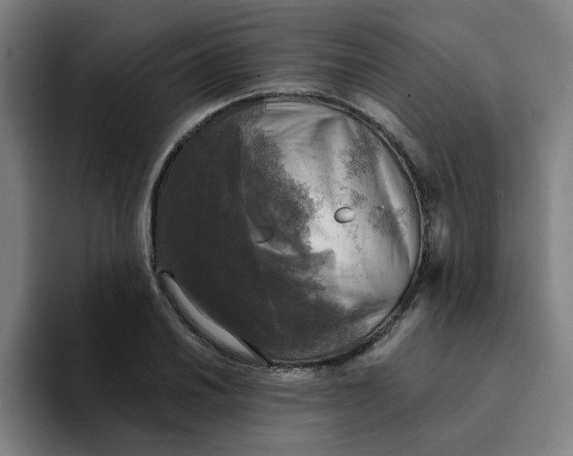 X0000094221030200711161845