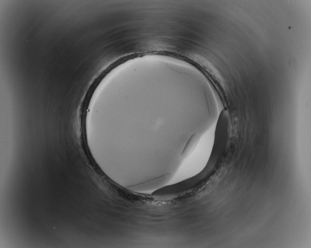 X0000094221031200711161845