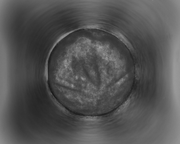 X0000094221036200711161845