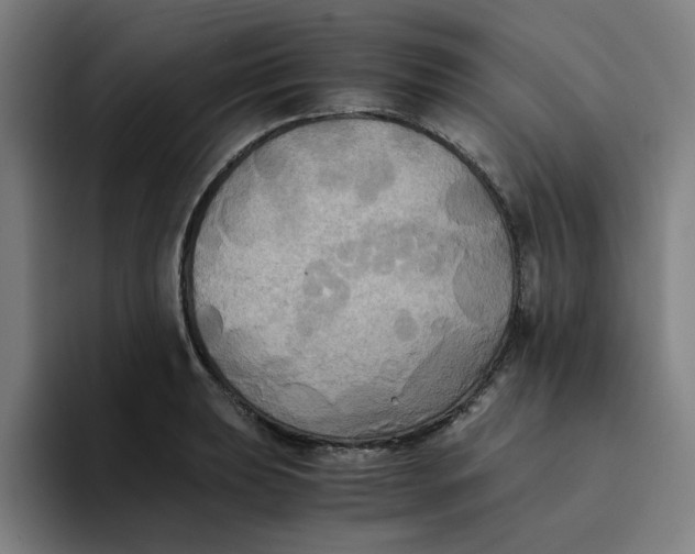 X0000094221039200711161845