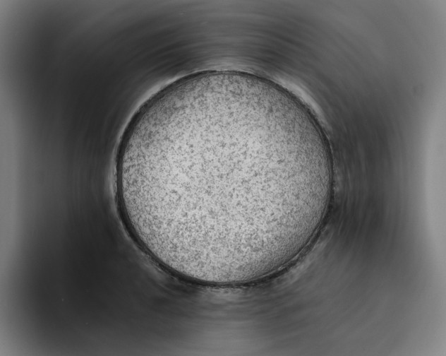 X0000094221040200711161845