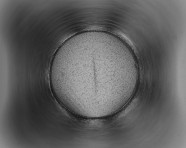 X0000094221041200711161845