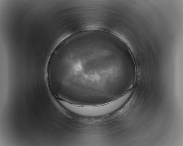 X0000094221042200711161845