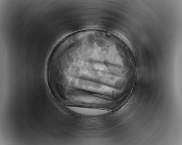 X0000094221043200711161845