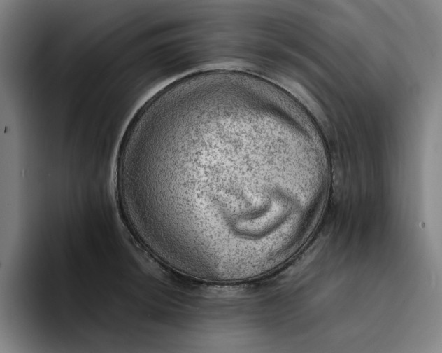 X0000094221044200711161845