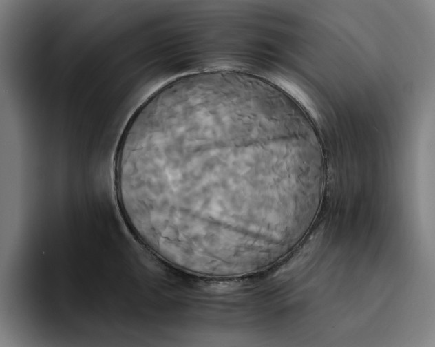 X0000094221047200711161845