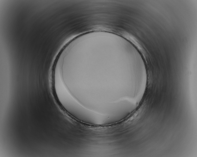 X0000094221048200711161845