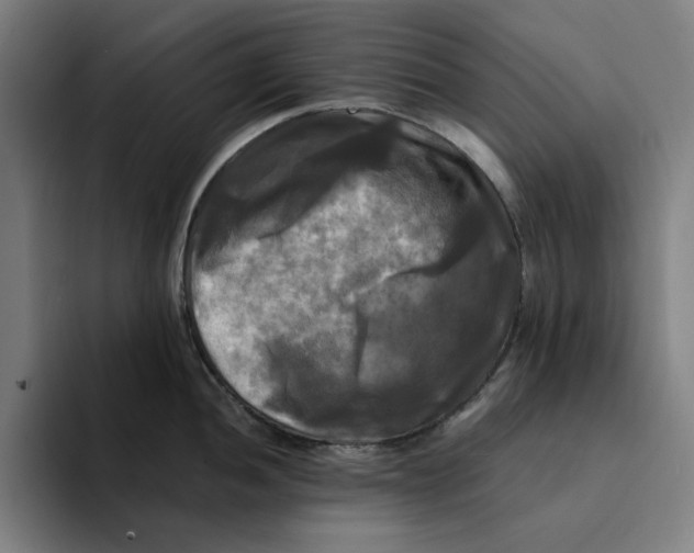 X0000094221052200711161845