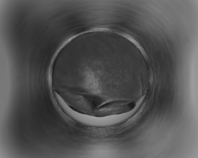 X0000094221054200711161845