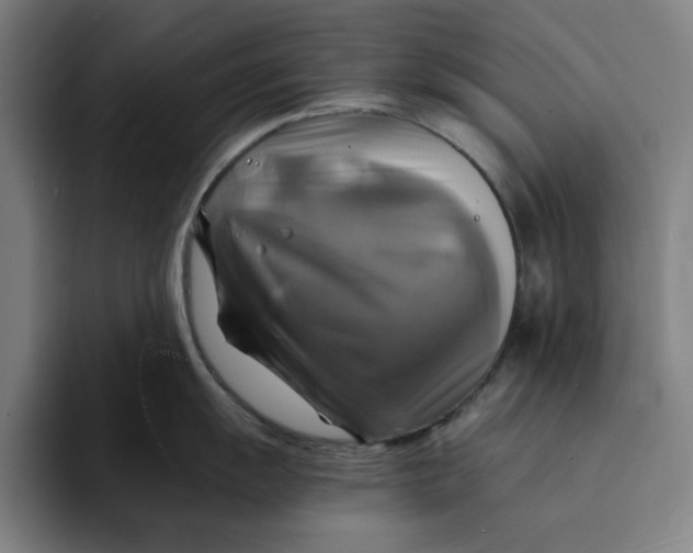 X0000094221055200711161845