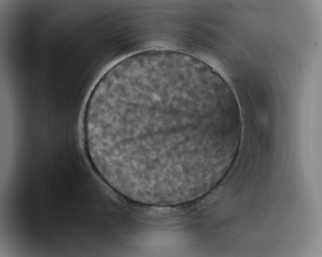 X0000094221056200711161845