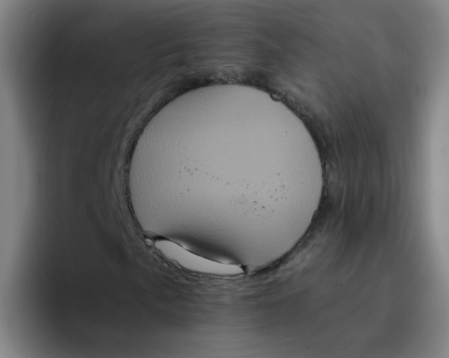 X0000094221057200711161844