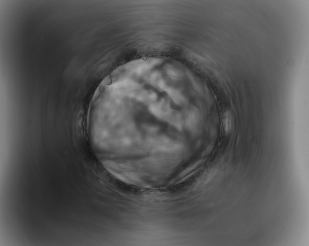 X0000094221059200711161844