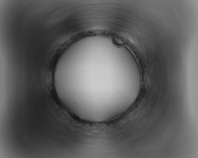 X0000094221062200711161844