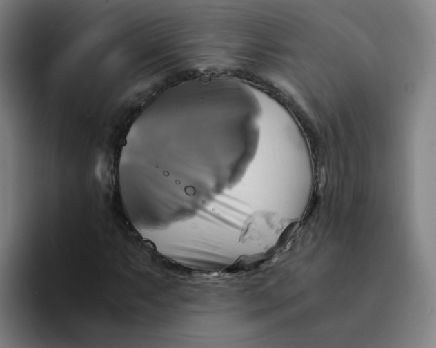 X0000094221063200711161844