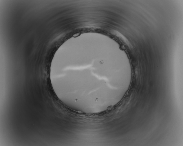 X0000094221064200711161844