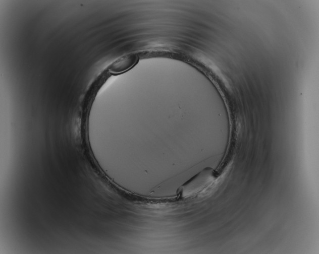 X0000094221066200711161844