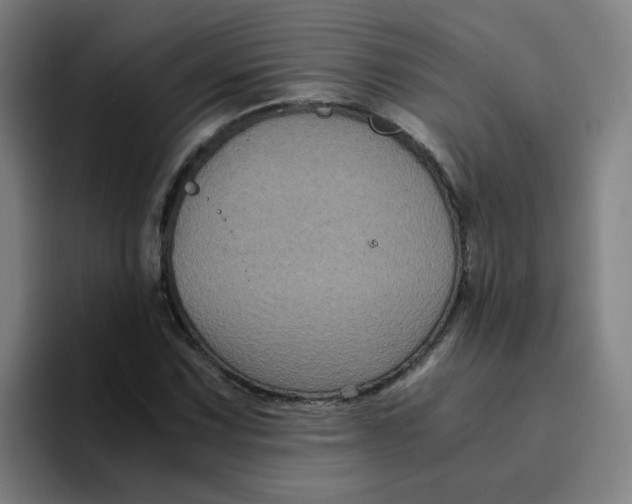 X0000094221067200711161844