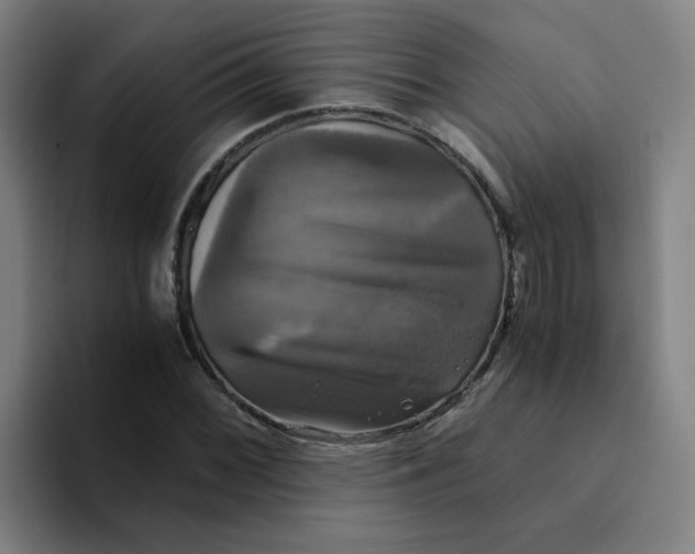 X0000094221068200711161844