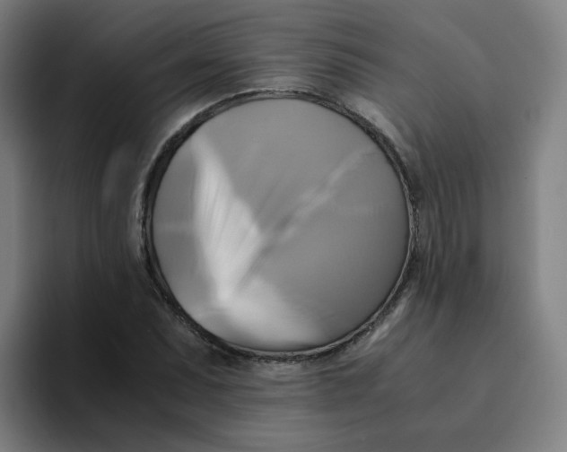 X0000094221071200711161844