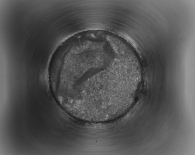 X0000094221072200711161844