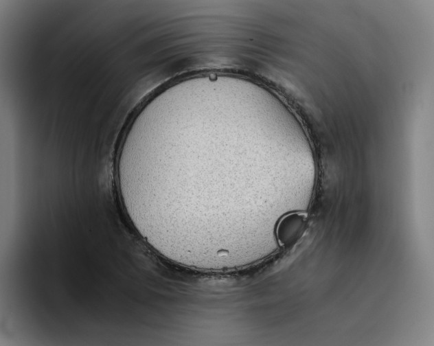 X0000094221073200711161844