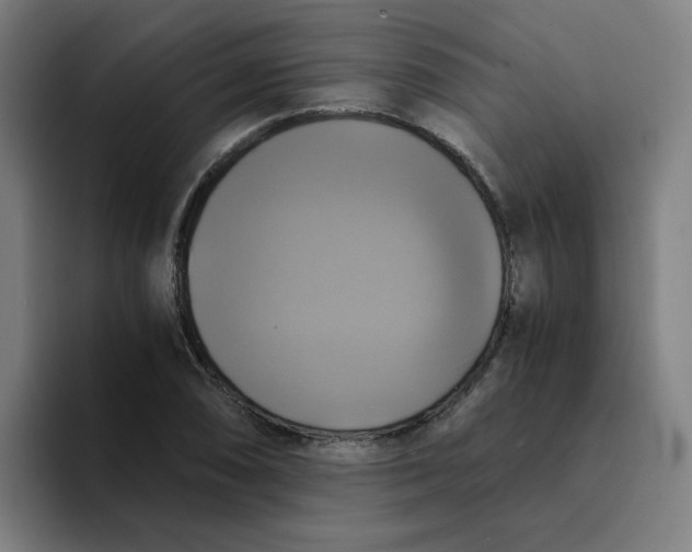 X0000094221074200711161844