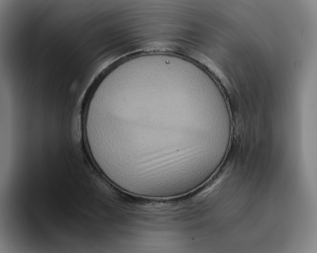 X0000094221075200711161844