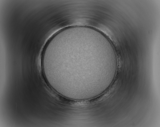 X0000094221078200711161844