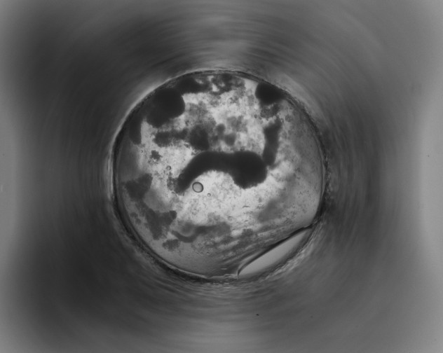 X0000094221079200711161844