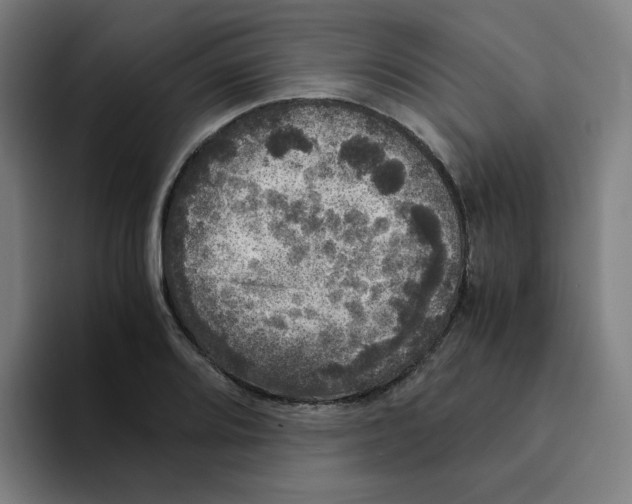 X0000094221080200711161844