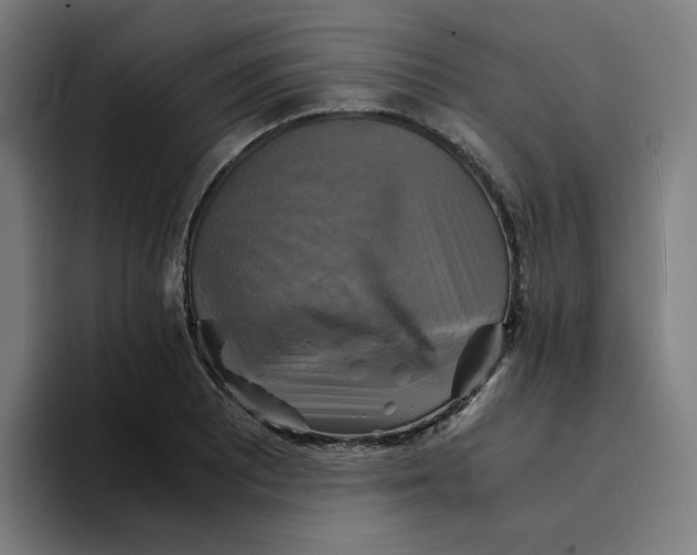 X0000094221081200711161844