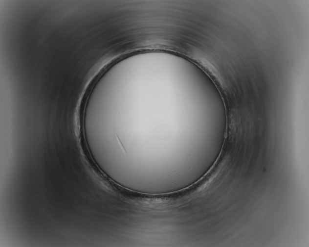 X0000094221082200711161844