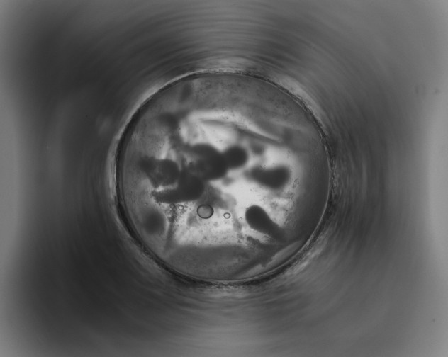 X0000094221083200711161844