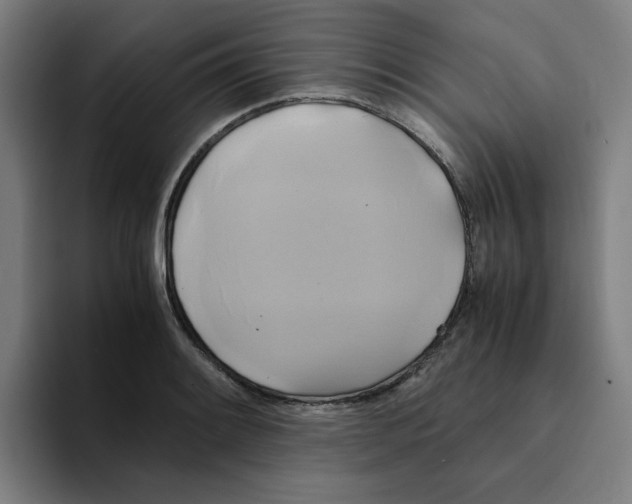 X0000094221084200711161844