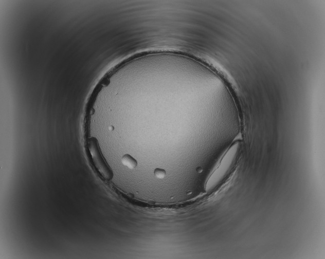 X0000094221085200711161844