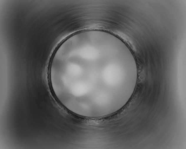 X0000094221086200711161844