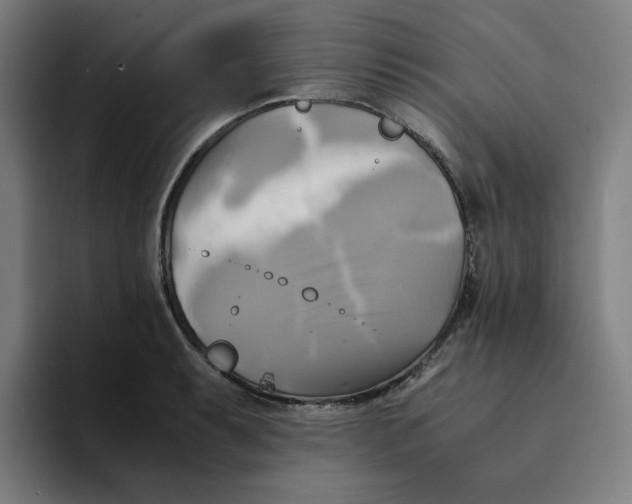 X0000094221087200711161844