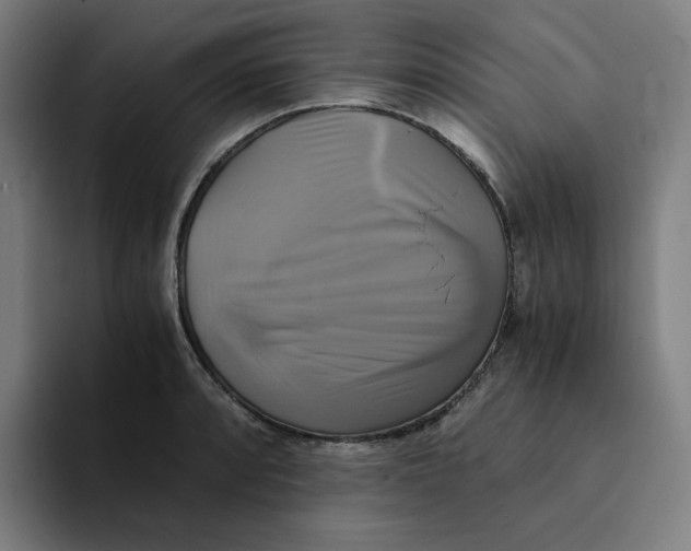 X0000094221088200711161844