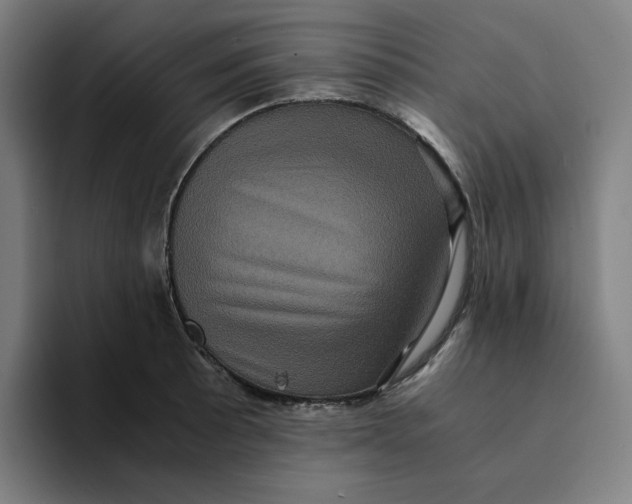 X0000094221089200711161844