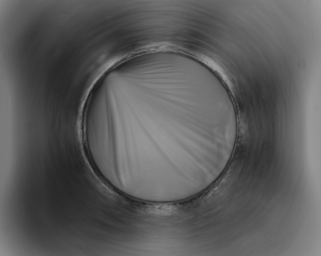 X0000094221090200711161844