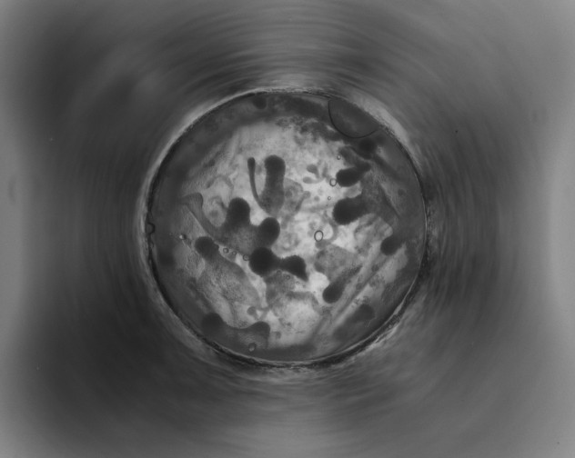 X0000094221091200711161844