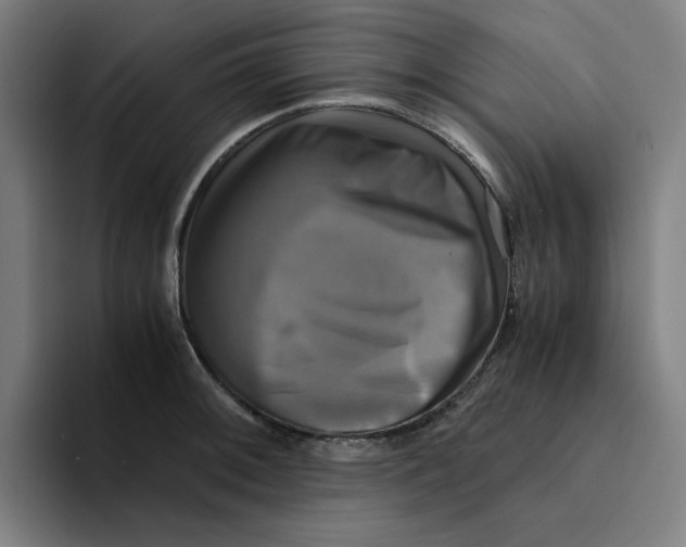 X0000094221092200711161844