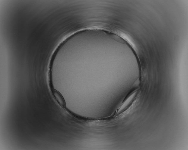 X0000094221093200711161844